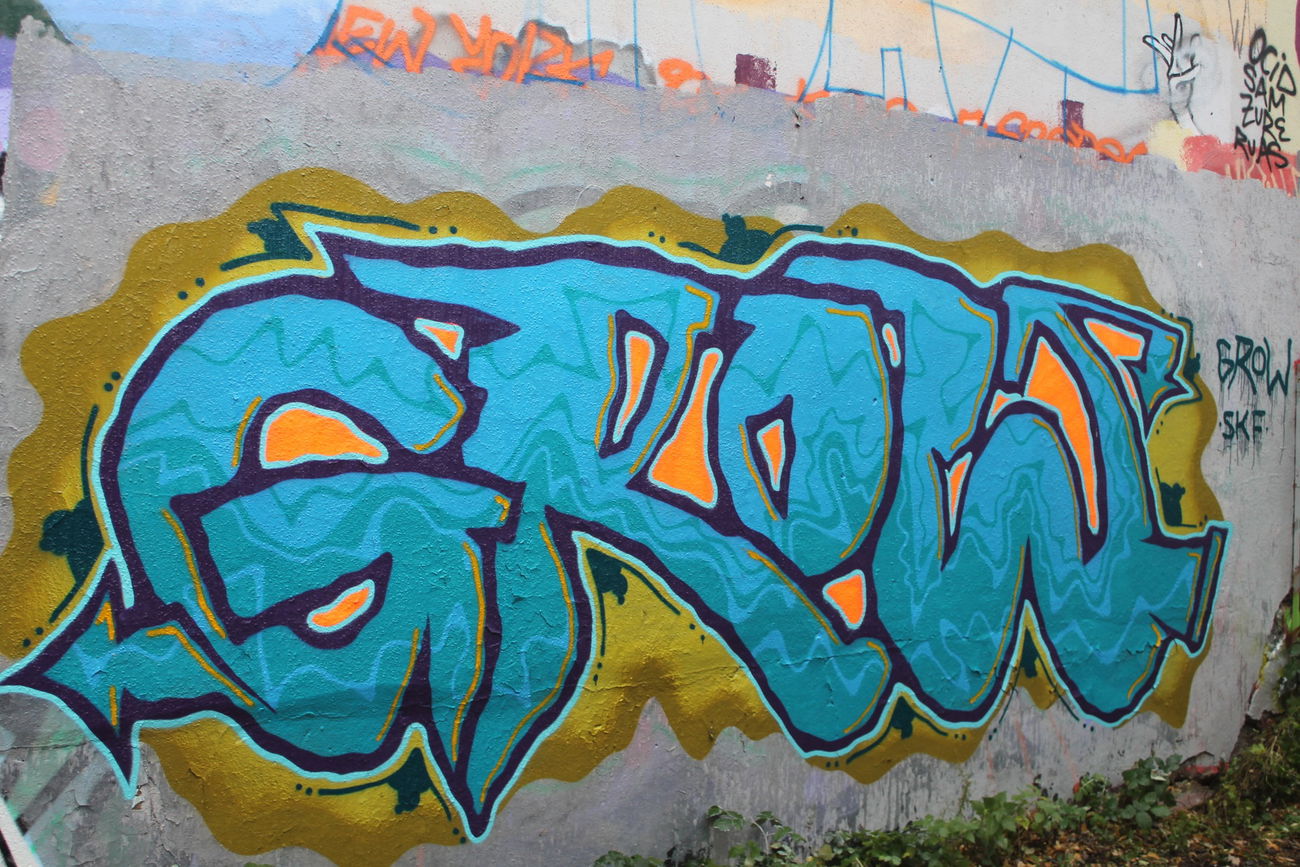 Graffiti Bombing - Photo by bergpunk - grow (2015)
