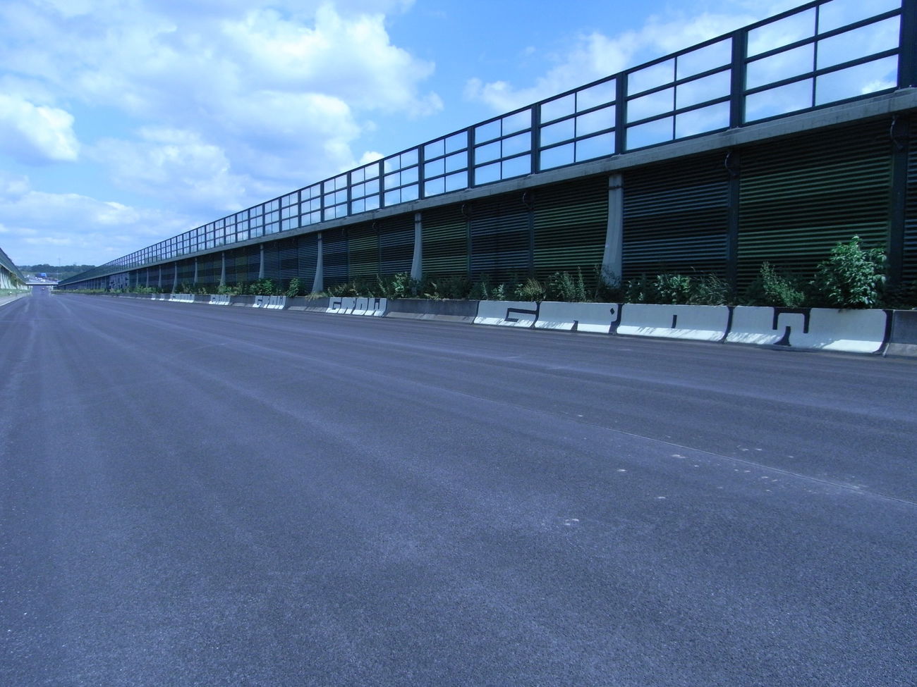 Graffiti Bombing - Photo by bergpunk - grow (2015)