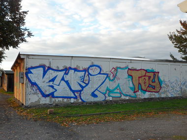 Graffiti Bombing - Photo by bergpunk - krim, toy (2015)