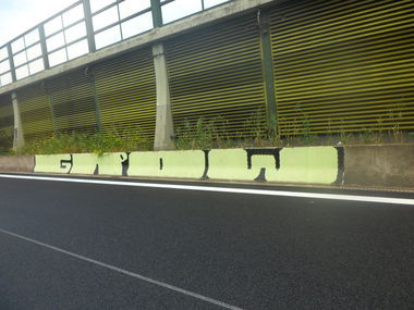 Graffiti Bombing - Photo by bergpunk - grow (2015)