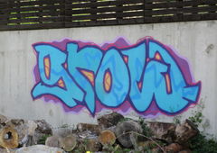 Graffiti Bombing - Photo by bergpunk - grow (2020)