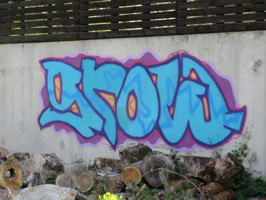 Graffiti Bombing - Photo by bergpunk - grow (2020)