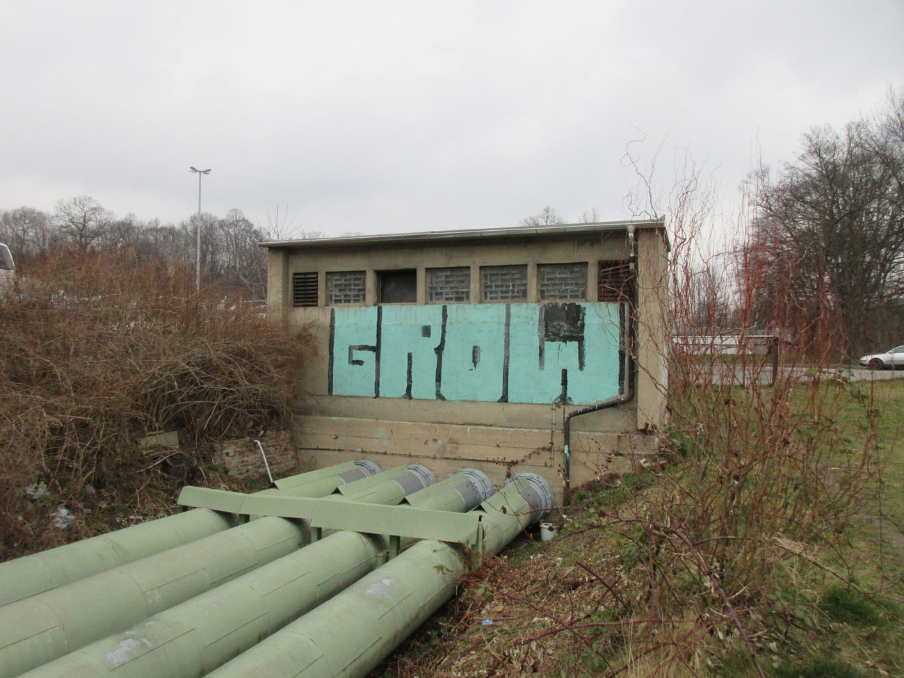 Graffiti Bombing - Photo by bergpunk - grow (2015)