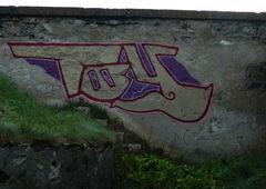 Graffiti Bombing - Photo by bergpunk - toy (2018)