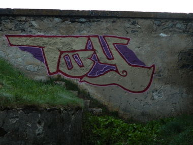 Graffiti Bombing - Photo by bergpunk - toy (2018)