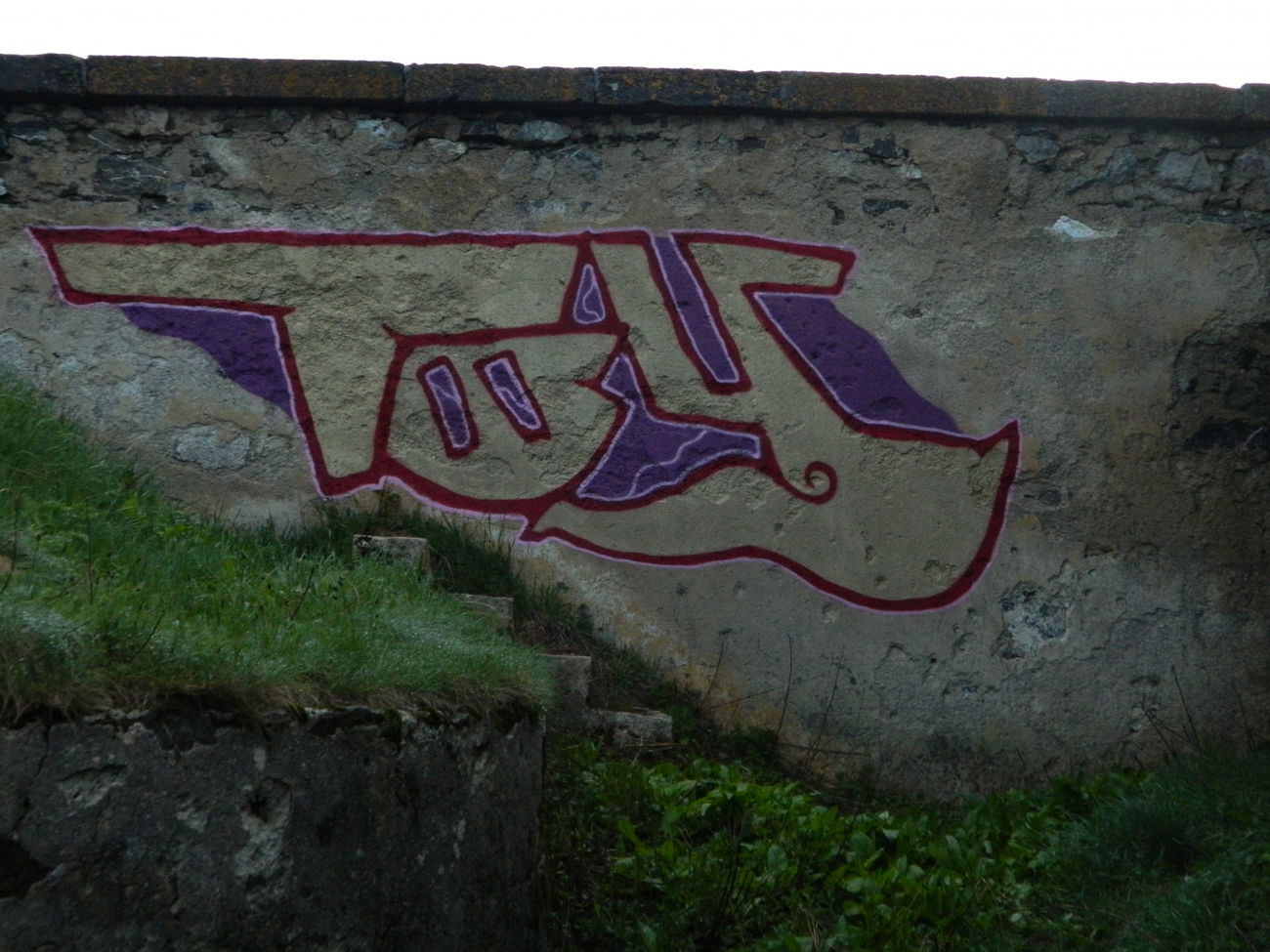 Graffiti Bombing - Photo by bergpunk - toy (2018)