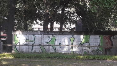 Graffiti Bombing - Photo by bergpunk - grow (2014)