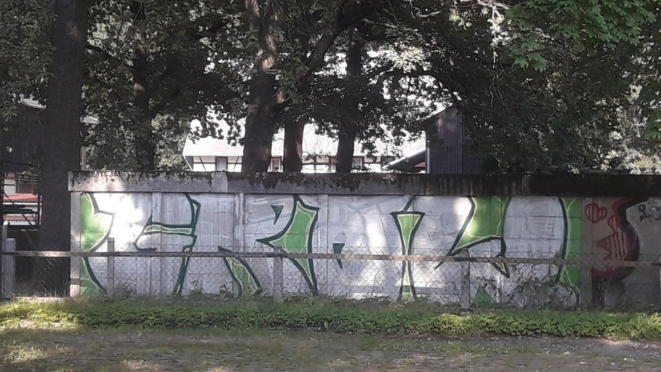 Graffiti Bombing - Photo by bergpunk - grow (2014)