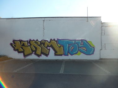 Graffiti Bombing - Photo by bergpunk - krim, toy (2015)