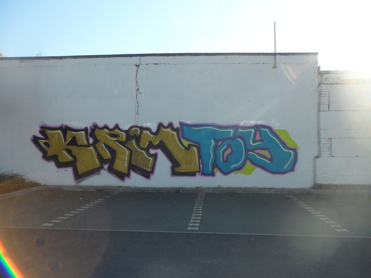 Graffiti Bombing - Photo by bergpunk - krim, toy (2015)