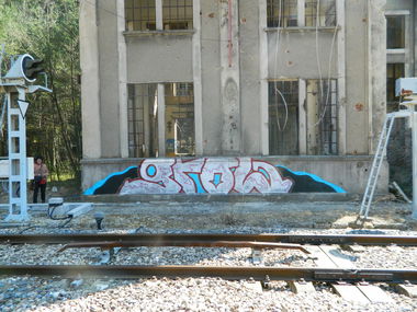 Graffiti Bombing - Photo by bergpunk - grow (2018)