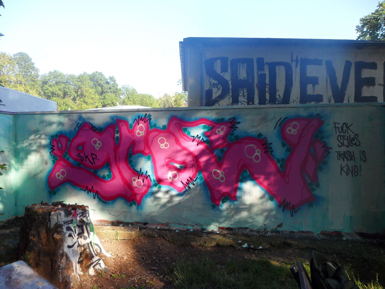 Graffiti Wall - Photo by bergpunk - grow (2015)