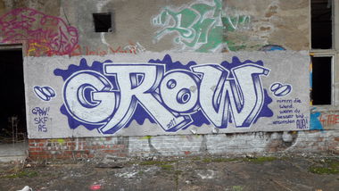 Graffiti Bombing - Photo by bergpunk - grow (2011)