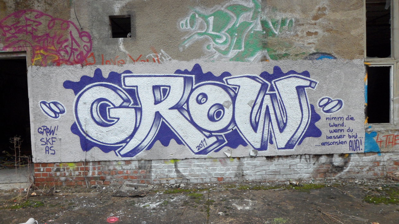 Graffiti Bombing - Photo by bergpunk - grow (2011)