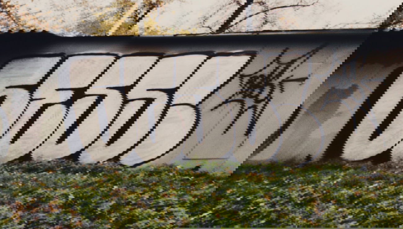 Graffiti Wall - Photo by bess - flop, flops (2013)