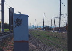 Photo #117175 by Kilo1