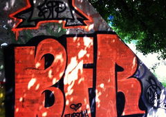 Photo #53762 by Homs