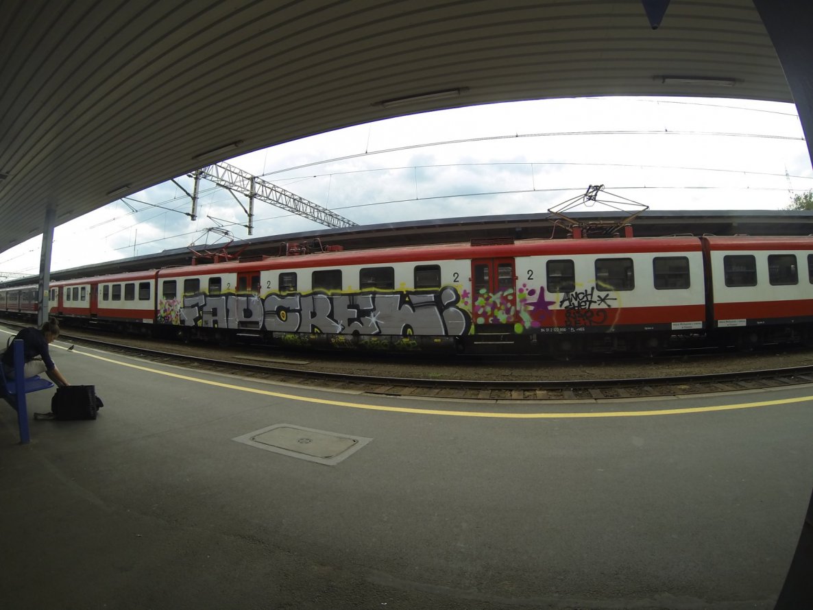Graffiti Train - Photo by bijonce