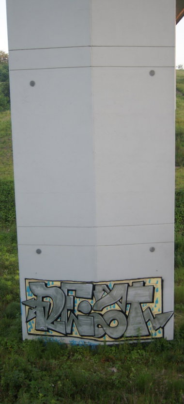 Graffiti Bombing - Photo by bijonce (2014)