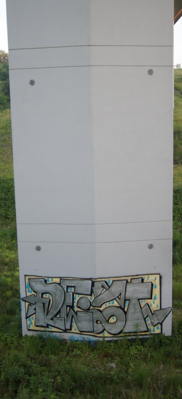 Graffiti Bombing - Photo by bijonce (2014)