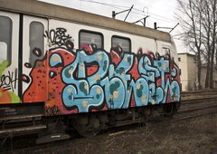 Photo #128835 by Rip