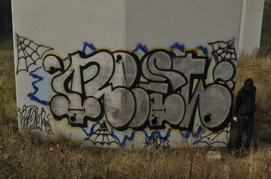 Graffiti Bombing - Photo by bijonce (2013)