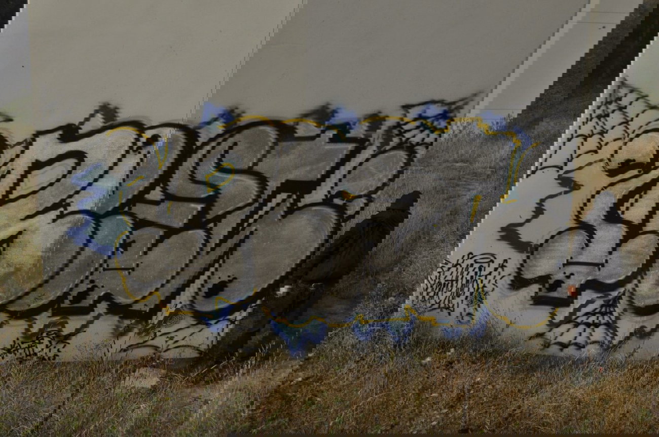 Graffiti Bombing - Photo by bijonce (2013)