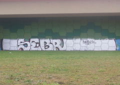 Photo #69299 by sunsnv