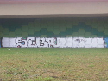 Graffiti Bombing - Photo by bingbeng (2013)