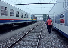 Photo #187259 by TagHagel