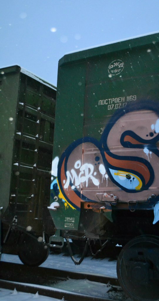 Graffiti Train - Photo by blanshmcr - Steyck (2014)