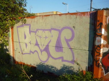 Graffiti Bombing - Photo by blouye - blou, twf, 2e (2013)