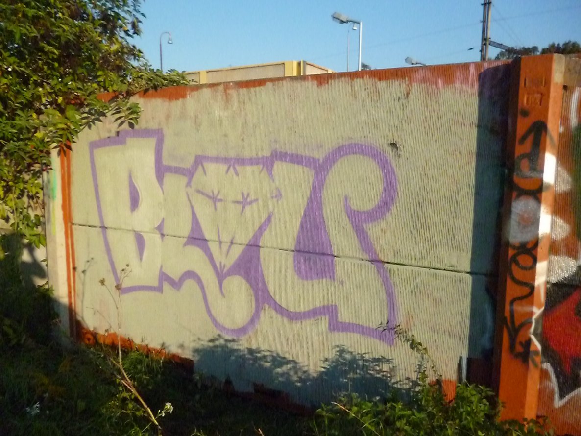 Graffiti Bombing - Photo by blouye - blou, twf, 2e (2013)