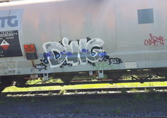 Graffiti Train in Deutschland - Photo by bocat - DING (2018)