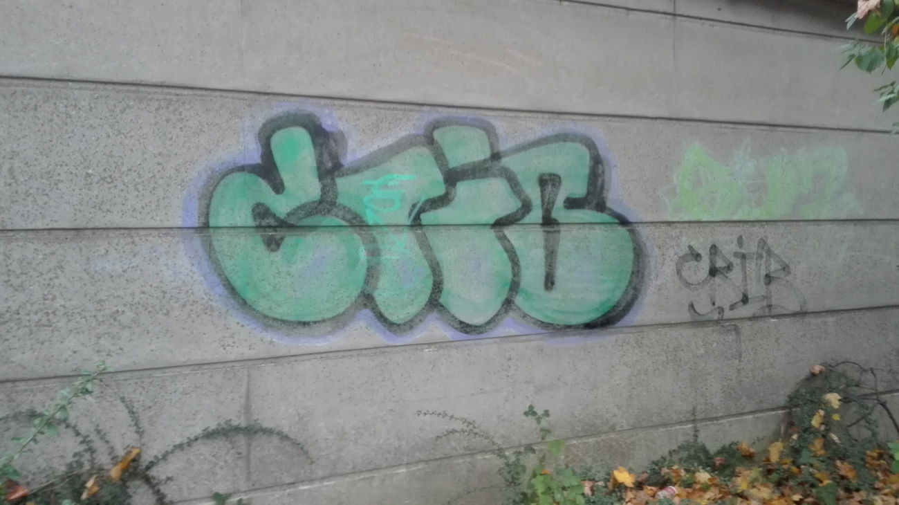 Graffiti Bombing in Neuss - Photo by bocat - CRIB