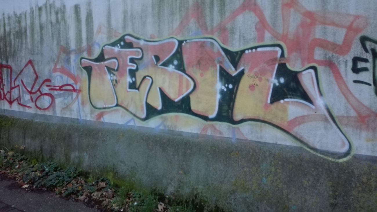 Graffiti Bombing in Köln - Photo by bocat - TERM