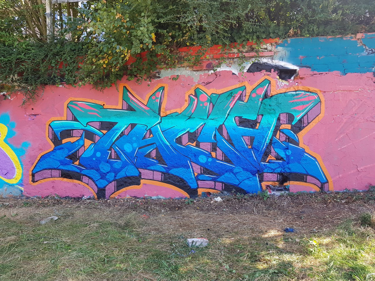 Graffiti Wall in Deutschland - Photo by bocat - TACH (2018)