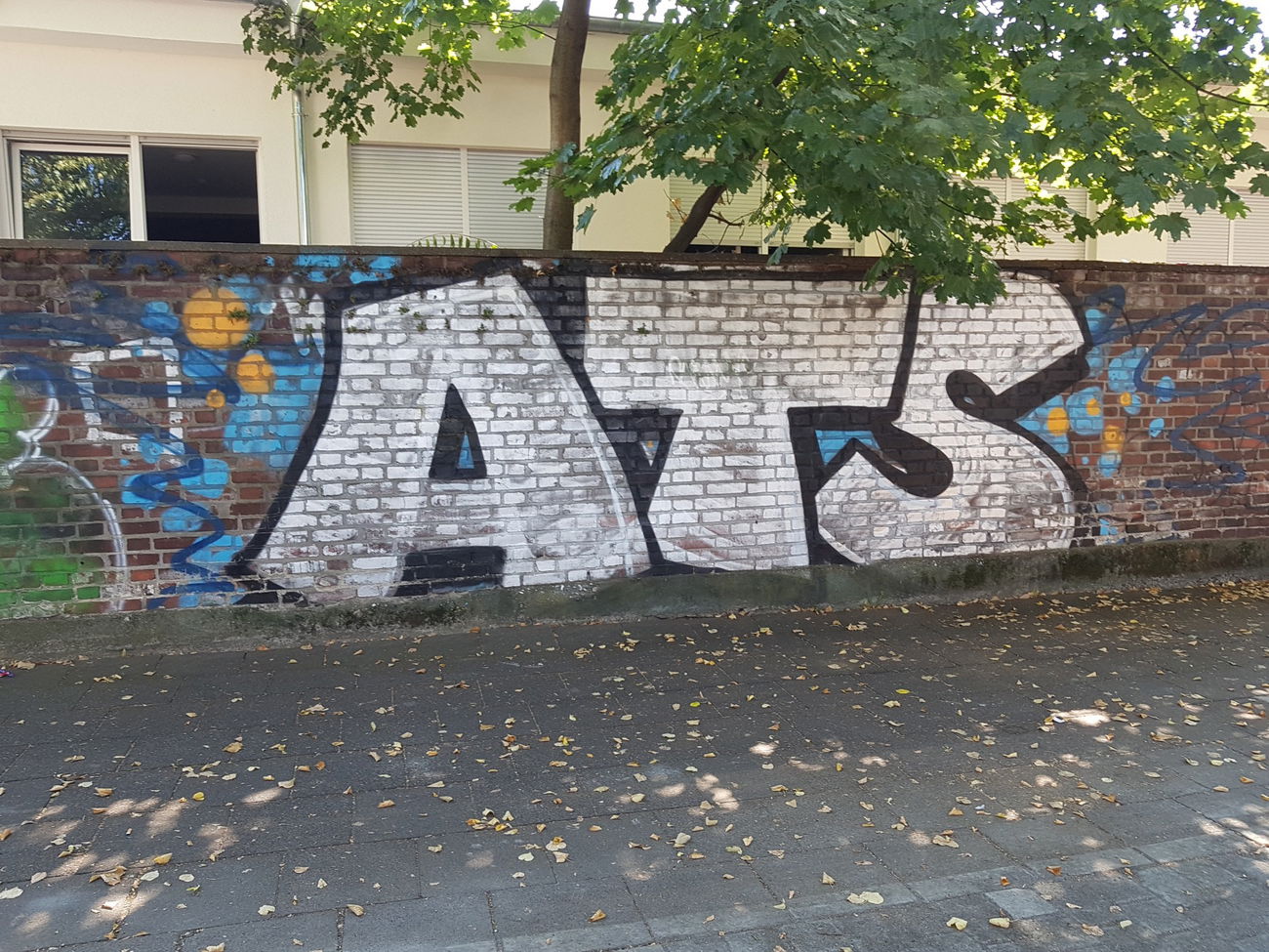 Graffiti Bombing in Köln - Photo by bocat - ATS