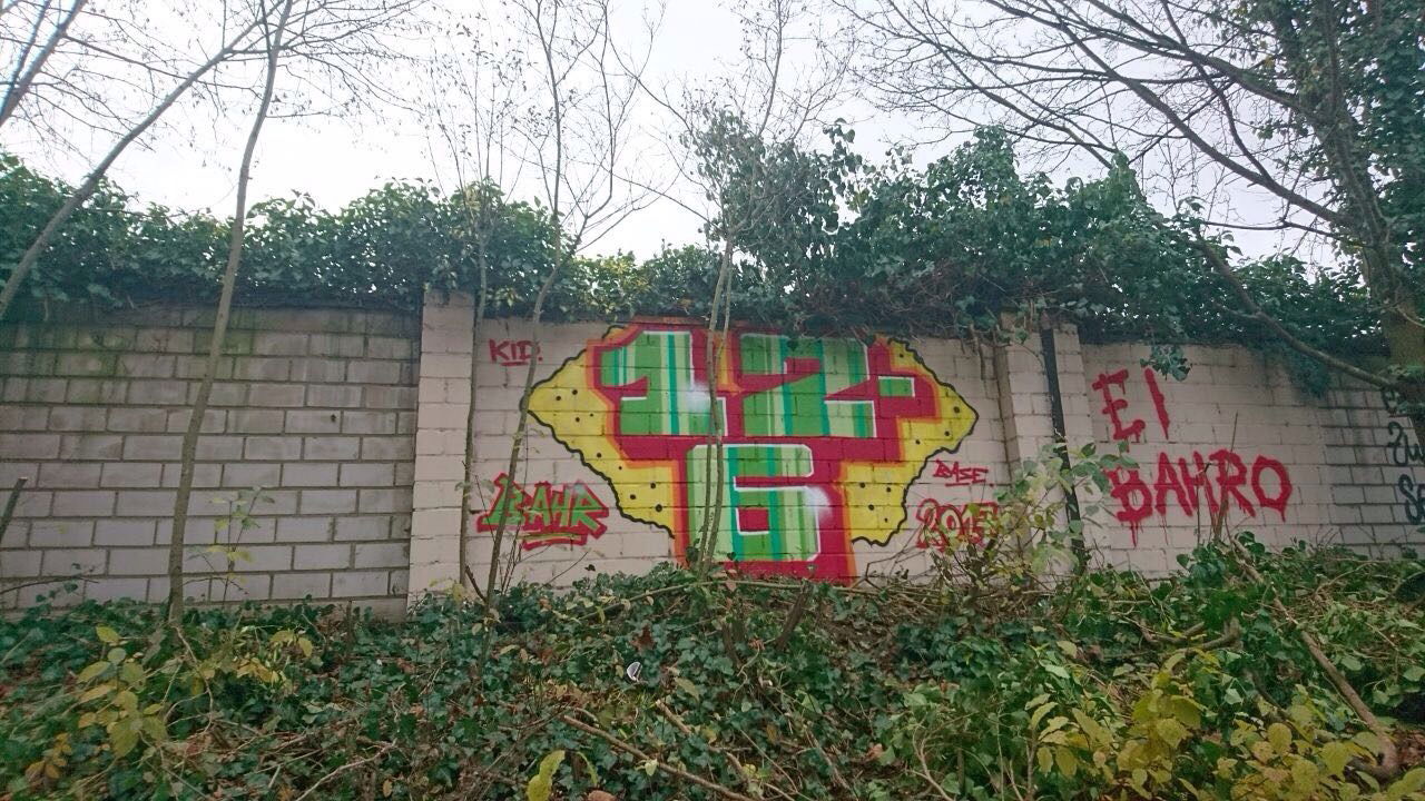 Graffiti Bombing - Photo by bocat - 126 (2017)