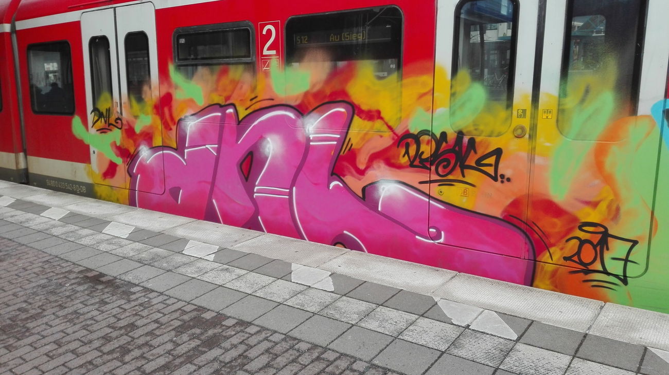 Graffiti Train in Köln - Photo by bocat - DNL (2017)