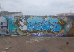 Graffiti Wall in Köln - Photo by bocat - ZEUS (2018)