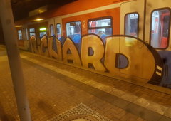 Graffiti Train in Köln - Photo by bocat - RICHARD (2018)