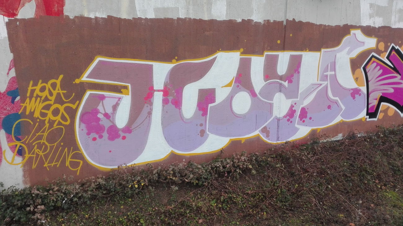 Graffiti Bombing in Köln - Photo by bocat - HOSA (2017)