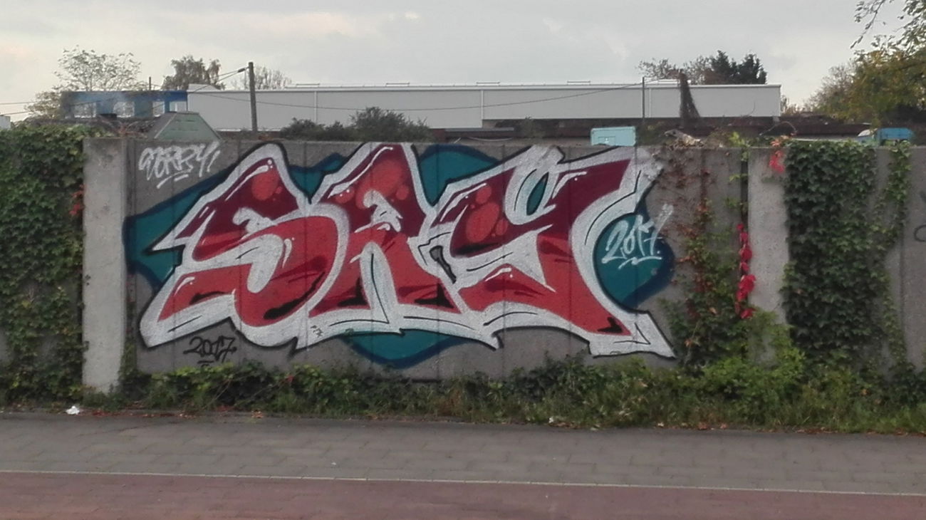 Graffiti Bombing in Köln - Photo by bocat - SRY (2017)