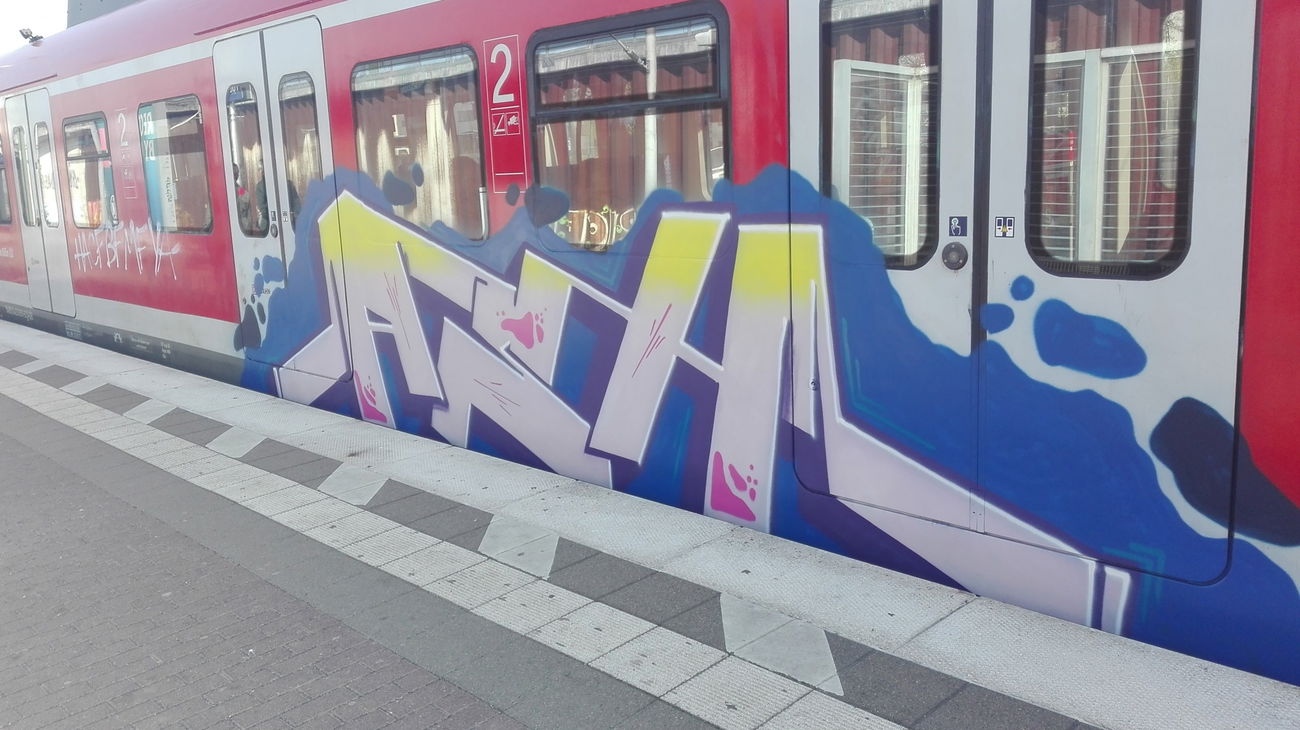 Graffiti Train in Köln - Photo by bocat - Ash (2017)