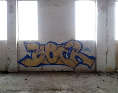Graffiti Bombing - Photo by boer412 - boer, graffiti, romania (2014)