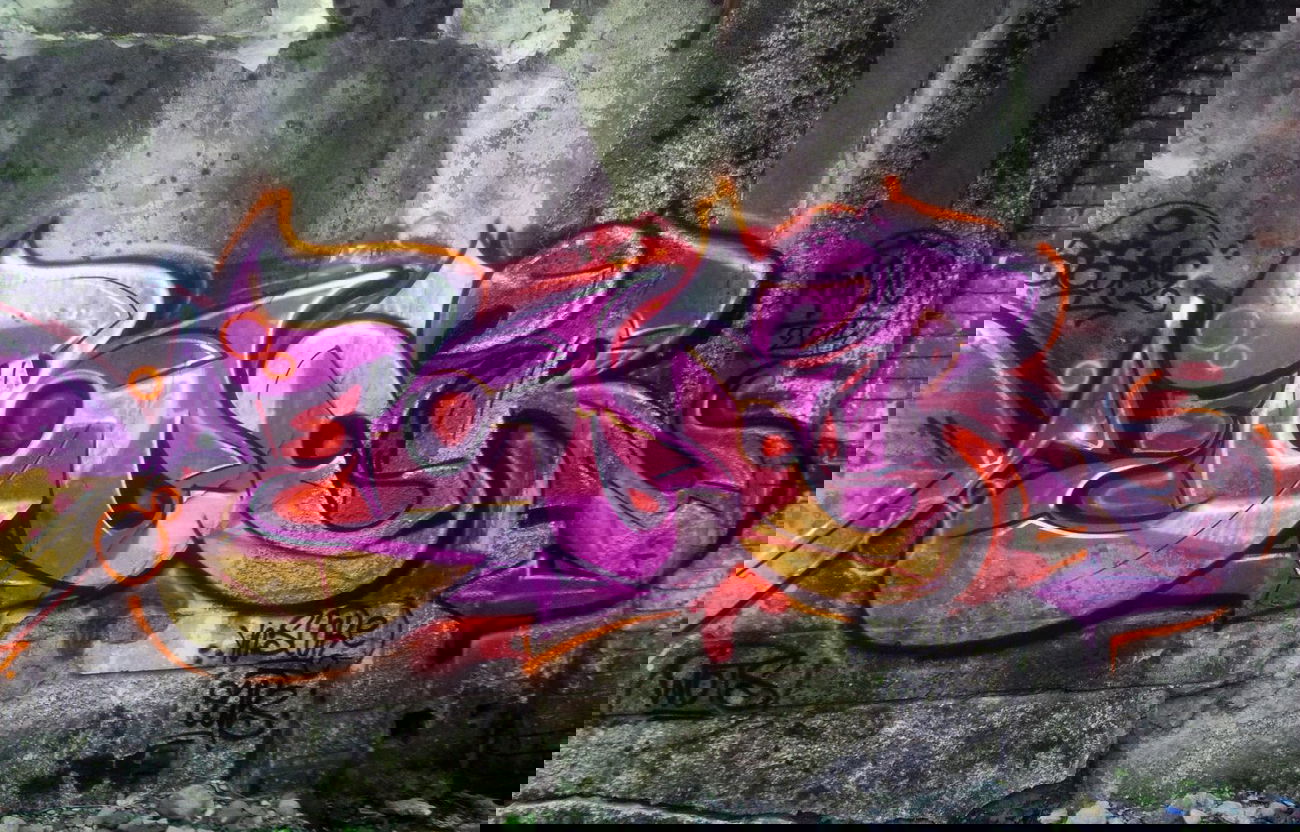 Graffiti Wall - Photo by boer412 - bacau, boer, graffiti (2014)