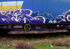 Photo #136074 by HavanaClub