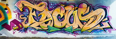 Graffiti Wall in Boto?ani - Photo by boer412 - boer, focus, botosani (2014)