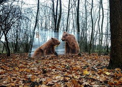 Photo #192028 by iobe1